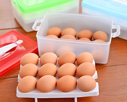 Hxytech Double Layer 24 Eggs Holder Box Covered Egg Dispenser with Handle Refrigerator Storage Container Plastic Box