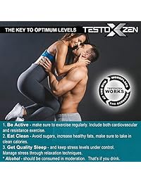 GX8 Labs TESTOXZEN Testosterone Booster for Men, May Support increase Test Levels, Muscular...