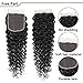 Synthetic Hair Lace Front Wigs for Black Women Long Natural Wavy Wave Lace front Wig with Baby Hair Natura Hairline Realistic Human Hair Wig Body Wave Wig Half Lace Wigs (10-INCH, Natural Color)