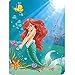 Disney Princess Ariel Life Under The Sea The Little Mermaid 60x80 Twin Mink Style Blanket