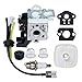 HOODELL RB-K93 Carb, Compatible for Echo SRM225 GT225 PE225 PAS225 Trimmer and More, Premium Weed Eater/Edger Carburetor, with Tune Up Kit Primer Bulb primary