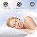 HOMEIDEAS Queen Bed Pillows for Sleeping Set of 2 - Luxury Down Alternative Pillows, Premium Plush Fiber - Good for Side and Back Sleeper