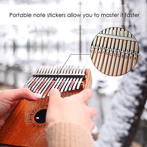 4 Kalimba+builts+high+performance+protective+instruction