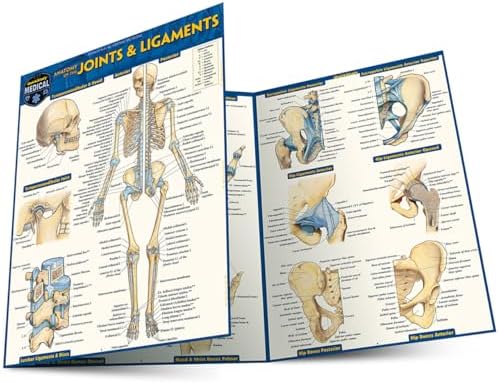 Anatomy Reference Guide 解剖学 医学書 Anatomy Reference Guide: Perez, Vincent: 9781423242666: Amazon.com