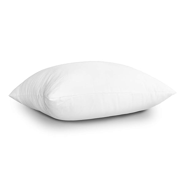 EDOW THROW PILLOW INSERTS, SET OF 4 LIGHTWEIGHT DOWN ALTERNATIVE POLYESTER PILLOW, COUCH CUSHION, SHAM STUFFER, MACHINE WASHABLE. (WHITE, 20X20)