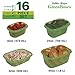 Debbie Meyer GreenBoxes, Food Storage Containers with Lids, Keep Fruits, Vegetables, Baked Goods & Snacks Fresher Longer! BPA Free, Microwave & Dishwasher Safe- 16 Piece Set