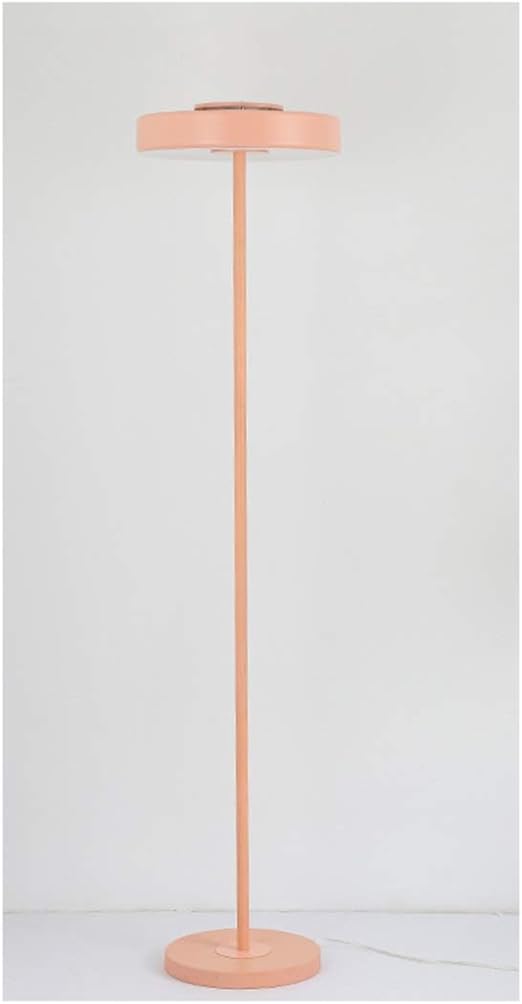 100anju Nordic Floor Lamp Living Room Bedroom Bedside Reading