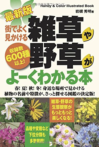 最新版 街でよく見かける雑草や野草がよーくわかる本 Handy Color Illustrated Book 岩槻 秀明 本 通販 Amazon 最新版 街でよく見かける雑草や野草がよーくわかる本 Handy Color Illustrated Book 岩槻 秀明 本 通販 Amazon