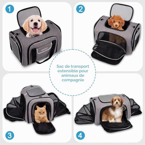 Airline Approved Expandable 4-Sided Cat Carrier Bag for Cats & Small Dogs, Car/Plane/Train, Folding, Removable Soft Cushion, 45 x 28 x 28 cm, Secure