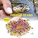 Fishing Bead Bait Eggs Kits Floating Ball Stopper Plastic with Box Glow Round Luminous Saltwater Freshwater Salmon Trout 500-3000pcs