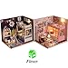 Flever Dollhouse Miniature DIY House Kit Creative Room With Furniture and Glass Cover for Romantic Artwork Gift(Mood For Love&Face The Sky)
