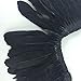 Sowder Black Duck Goose Feather Trim Fringe 2 Yards