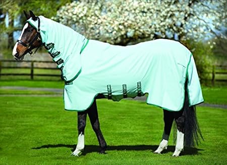 Horseware Rambo Hoody (inkl. Fliegenmaske) - Ice-Green/Green