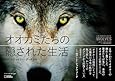 オオカミたちの隠された生活