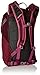 Osprey Packs Women's Skimmer 16 Hydration Pack, Plume Purple