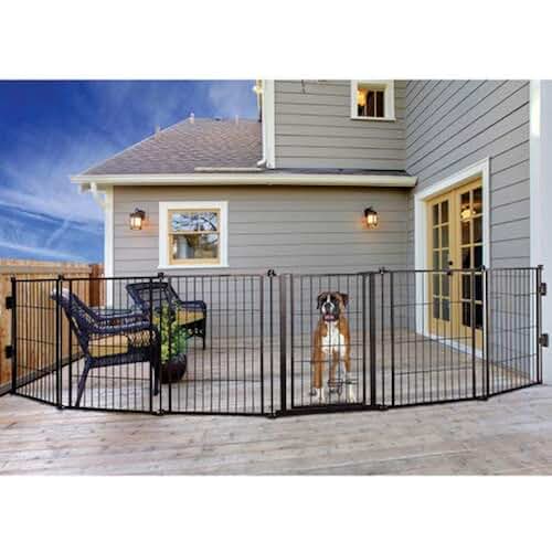 Temporary Dog Fence