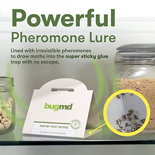 BugMD Pantry Pest Patrol (6 Pack) Moth Traps for Kitchen, Pantry Moth