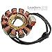 Ricks Motorsport Electric Stator 21-026H