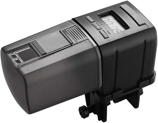 what are guinea pigs favorite food