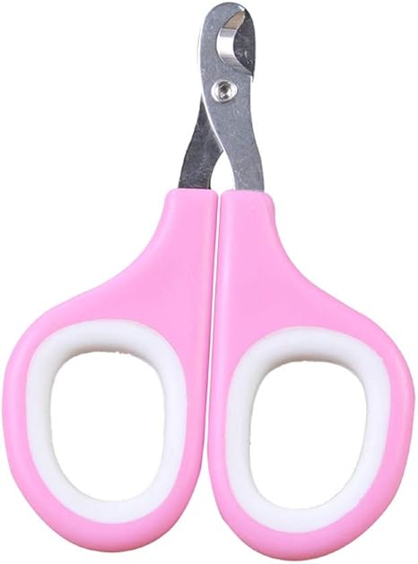 Huangyingui Coupe Ongles Chat Lame A Angle Vif Et Sur Coupe Ongles Pour Animaux Ciseaux Et Taille Griffes Pour Petits Chiens Chats Oiseaux Lapins Coupe Ongles Pour Chats Amazon Fr Animalerie