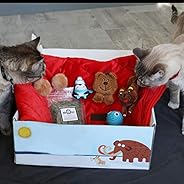BoxCat Monthly Subscription Box