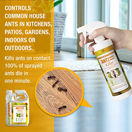 EcoRaider Ant Killer & Crawling Insect Killer (Citrus Scent) 16 OZ, Natural & NonToxic Pricepulse