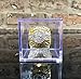 Legacy Rings Championship Ring Display Case | Box and Stand Holder