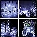 Adecorty SL-WBLWC12-CW Wine Bottle Lights with Cork Battery Powered Fairy Lights 12 Pack 20 LED Cool White