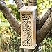 Bird House Bee Hive Wooden Insects House Hanging Bamboo Insect Hotels for Outdoor Garden Decorative