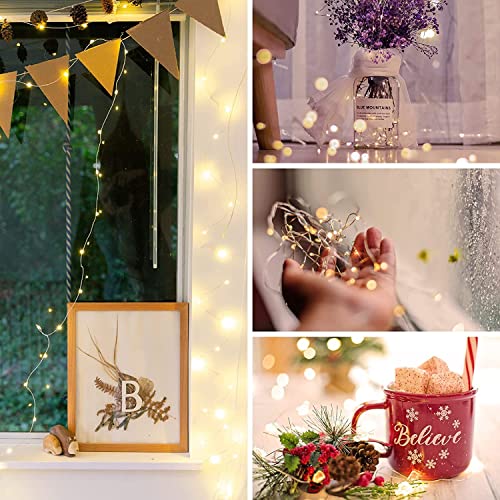 2x 50 LED Fairy Lights with Timer Battery Operated, 16ft Waterproof