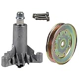 Raisman Heavy Duty Spindle Mandrel Assembly
