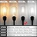 LED Edison Bulb Dimmable 60W Equivalent 800 Lumens, Daylight White 4000K, 6W ST64 Vintage LED Filament Light Bulbs, Antique Style Lighting, E26 Medium Base, Pack of 6