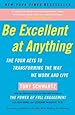 Be Excellent at Anything: The Four Keys To Transforming the Way We Work and Live