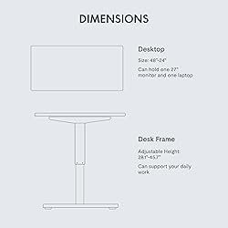 FLEXISPOT EN1 Whole-Piece Standing Desk 48 x 24