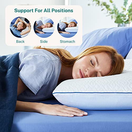 Sleep Innovations Forever Cool Gel Memory Foam Pillow (Set of 2