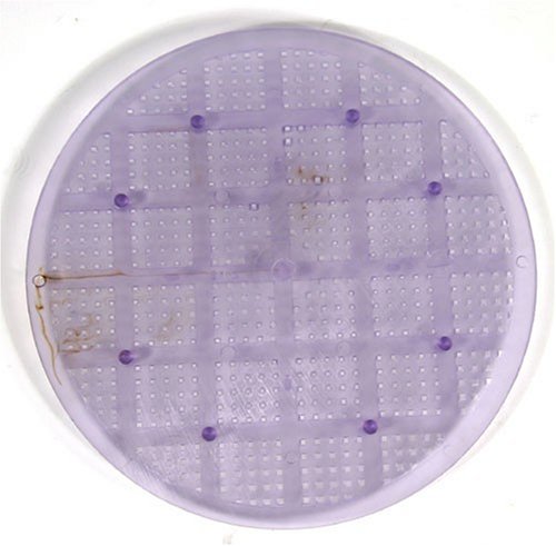 Inland Seas Nu-Clear Canister Filter Replacement Full Flow Grid