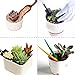 YGEOMER 10pcs Succulent Tools Mini Gardening Hand Tools Set Plant Transplanting Fairy Garden Planting Tools, with 20 Plant Labels as Gift