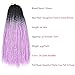Crochet Hair for Black Women 24 Inch Long Senegalese Twists Crochet Hair Pre Looped Three Color Ombre Braiding Hair Extensions 6 Packs Natural Bohemian Braids Hair Styles (Black/Purple/Silver Gray)