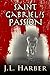Saint Gabriel's Passion: A Stephen Saint Gabriel Mystery (A Stephen Saint Gabriel Adventure Book 2)