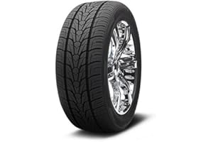 (1) NEW NEXEN RODIAN HP 305/35/24 R24 XL 112V TIRE 3053524