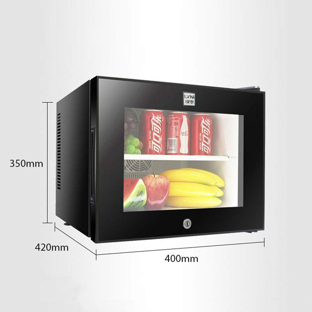 LAIY Refrigerador para el Cuidado de la Piel, Mini refrigerador ...