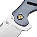 KIZER Cutlery Pocket Knives Flipper Knife Frame Lock Titanium Handles Tactical EDC Folding Knife, Sheepdog C01C Ki4488A