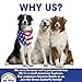 Green Butterfly Brands Premium Dog Treats Made in USA Only Natural, Meaty Beef Tips Slow Roasted, Crunchy American Beef Farm Raised Grain Free Training Treat, 8 Ounces