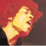 エレクトリック・レディランド