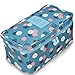 iSuperb® Travel Bra Organizer Bag Underwear Pouch Waterproof Personal Garment Bag Case (Blue with Floral Pattern)
