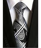 Allbebe Men's Fashion Grey Jacquard Woven Silk Tie Microfiber Formal Necktie (One size, black grey)