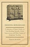 Breeding Budgerigars - A Selection of Classic Articles on Line-Breeding, Records, Colour Improvement by Various