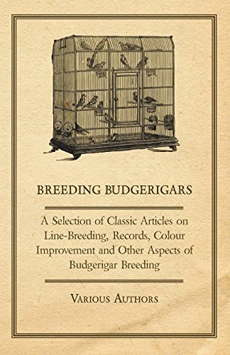 Breeding Budgerigars - A Selection of Classic Articles on Line-Breeding, Records, Colour Improvement by Various