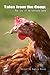 Tales from the Coop: The joy of ex-battery hens by