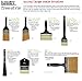 Liquitex 4 1300704 Professional Freestyle Large Scale Brush, Broad Flat/Varnish inch, Short Handle, Multi